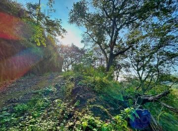 Terreno / Lote · 55000ha · Terrenoterreno en Venta en Miahuatlán Veracruz 5.5 Hectáreas
