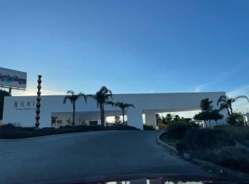 Terreno / Lote · 300m² · Terreno en Venta en Nubia Residencial