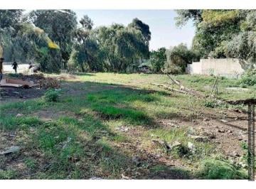 Terreno / Lote · 1240m² · Terreno en Renta en Forjadores