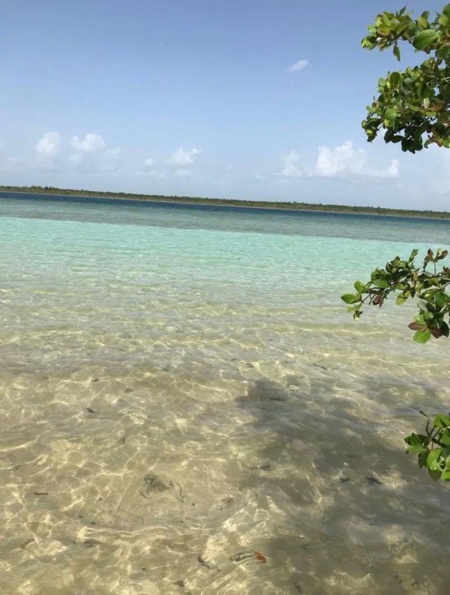Terreno de 5000 m&sup2; en Venta en Bacalar