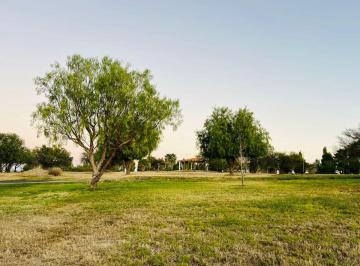 Terreno / Lote , Aguascalientes · Venta de Terreno Campestre 1226 m²