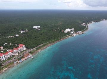 Terreno / Lote , Cozumel · Terreno en Venta Cozumel Quintana Roo