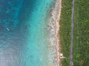 Terreno / Lote , Cozumel · Terreno en Venta Cozumel Quintana Roo