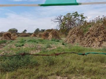 Terreno / Lote · 2500m² · Terreno Ejidal en Venta con Potencial Agrícola y de Proyectos Alternativos, Venta del Astillero, Zap