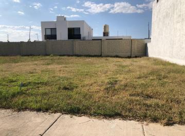 Terreno / Lote · 157m² · Terreno - Mayorca Residencial