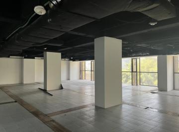 Oficina en Renta en Horacio Polanco · Oficina en Renta en Horacio Polanco