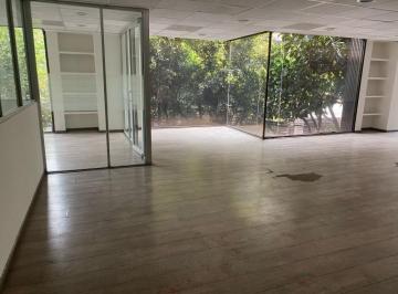 Oficina en Renta en Anzures · Oficina en Renta en Anzures