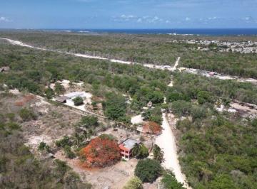 IDEAL PARA DESARROLLADORES · Venta Terreno en Akumal Tulum Junto a Monkey Sancturay Ideal Desarrolladores