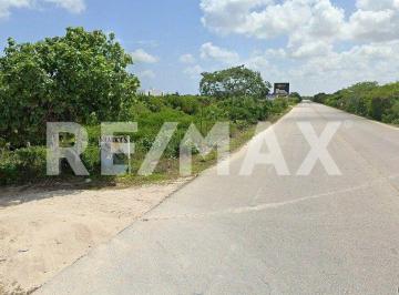 Terreno / Lote · 885m² · Terreno Comercial Sobre La Carretera Progreso - Telchac - (4)