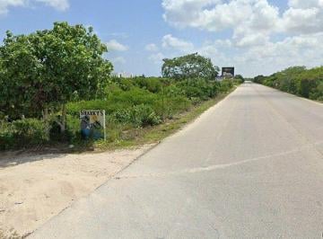 Terreno / Lote · 885m² · Terreno Comercial Sobre La Carretera Progreso - Telchac - (4)