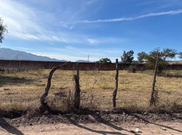Terreno / Lote , San Marcos · Venta de Terreno en San Marcos Jalisco