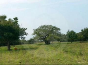 WhatsApp Image 2026-02-11 at 15.31.22.jpeg · Terreno Residencial en Venta en Adolfo Ruiz Cortines