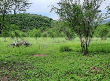 Terreno / Lote · 10000m² · Terreno / Lote en Venta en El Barrial