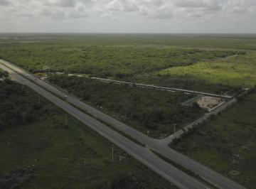 Terreno / Lote · 1522m² · Terreno en Mérida
