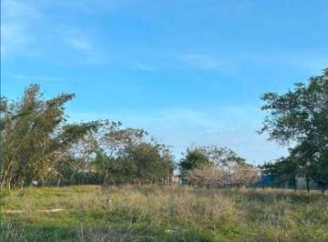 Terreno / Lote , Veracruz · Renta en Renta Renta Sobre Santa Fe – Paso del Toro