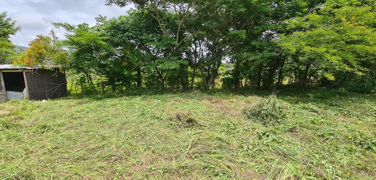 Rustic Land for Sale in Valle Bonito