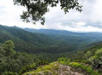 Terreno / Lote · 11037m² · Terreno en Venta Fraccionamiento Mazati, Tapalpa, Jalisco.