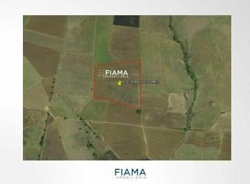 Terreno / Lote , Xalisco · Ha en Venta en El Poblado de Trigomil