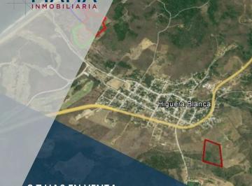 Terreno / Lote , Bahía de Banderas · 2.76 Has en Venta en Higuera Blanca, Bahia de Banderas, Nayarit. $3,700 Mxn por m²