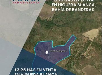 Terreno / Lote , Bahía de Banderas · 13.90 Has en Venta en Higuera Blanca, Bahia de Banderas, Nayarit. $1,200 por m²