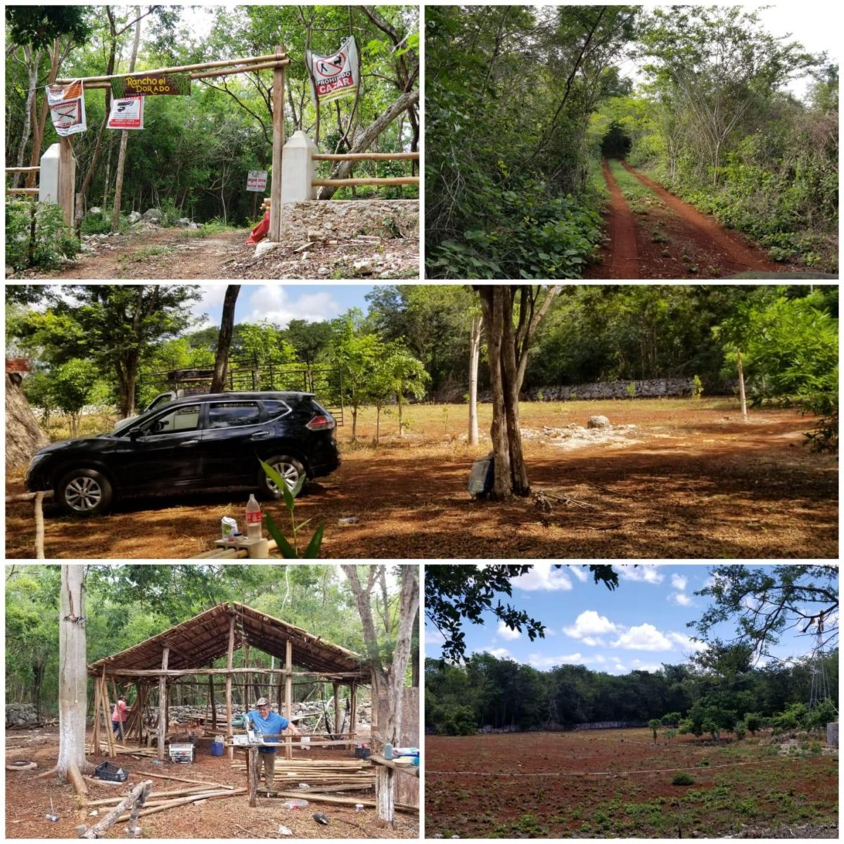 Rancho El Dorado