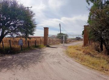 Terreno / Lote · 3000m² · Terrenos en Venta en Fraccionamiento Campestre Los Chirimoyos - (4)