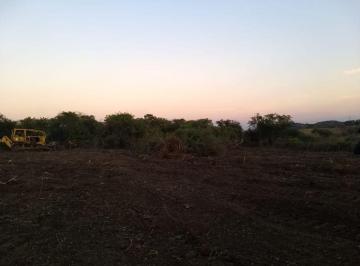 Terreno / Lote , Mazatepec · Venta de Terreno 84570 m² en Carretera Puente de Ixtla a Mazatepec, Mazatepec, Morelos