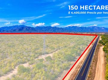 Terreno / Lote , Los Cabos · Terreno en Venta Mesa de Santa Anita, San José del Cabo, B. C. s.