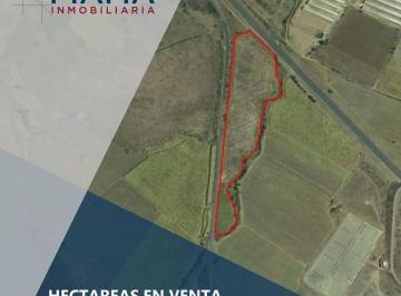 Terreno / Lote , Santa María del Oro · Ha en Venta en El Poblado de La Labor, Santa Maria del Oro, Nay. $1,100,000 Mxn por Hectárea