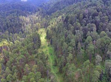 Terreno / Lote · 500000m² · Terreno - Valle de Bravo