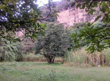Terreno / Lote · 22m² · Terreno - San Juan