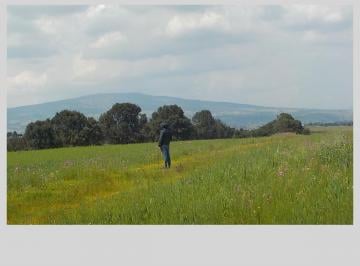Terreno / Lote · 700000m² · Terreno - Ejido La Gavia (San José La Gavia)