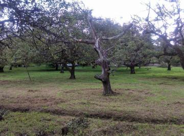 Terreno / Lote · 22000m² · Terreno - San Juan