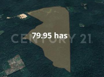 Rancho · 799500m² · Rancho en Venta en Tekax, Yucatán.