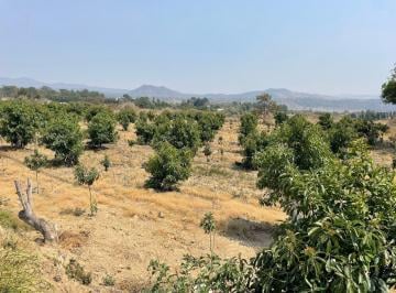 Terreno / Lote · Terreno - Estado de México