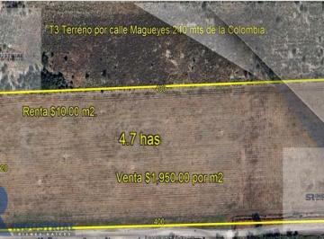 Terreno / Lote · 47000ha · Terreno en Renta/venta Salinas Victoria