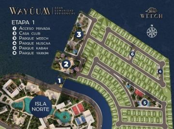 df12e7ac13e2ffd223790a8485c9ad2ed4d191320f0be08643023da6b9333e60 · Terenos Residenciales de Playa en Yucatan