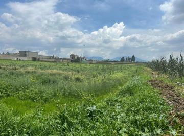 Terreno / Lote · 48000m² · Venta de Terreno Sobre Carretera Toluca - Tenango; Calimaya 4.6h