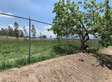 Terreno / Lote · 5000m² · Terreno en Venta Cerca de Ixtapan de La Sal
