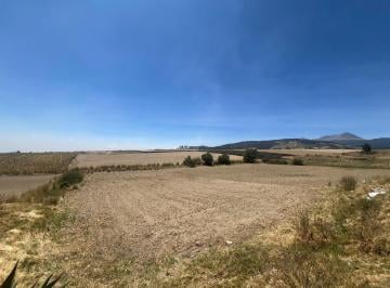 Terreno / Lote · 1716m² · Terreno en Venta en San Juan de Las Huertas Zinacantepec