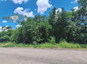 Terreno / Lote , Mérida · Terreno en Venta en Dzitya