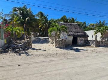 Terreno / Lote , Telchac Puerto · Lote de Playa con Hermosas Palmeras en Telchac, 5 Cuadras del Mar