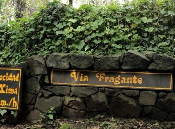 Terreno / Lote · 5000m² · Vía Fragante