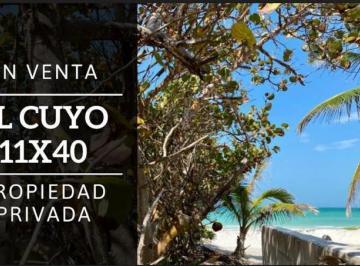 Terreno / Lote · 440ha · Terreno en El Cuyo Frente Al Mar!