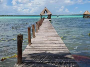 Terreno / Lote · 2640ha · 10 Estacionamientos · Terreno en La Laguna de Bacalar, Muy Centrico