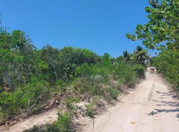 Terreno / Lote · 288ha · 4 Estacionamientos · El Cuyo / Yucatán, Se Vende Terreno.
