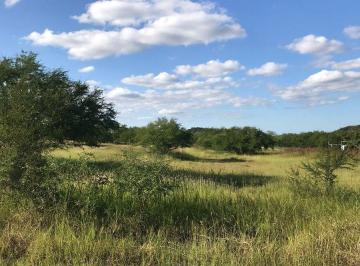 Terreno / Lote · 1800m² · Terreno en Venta en Montemorelos, nuevo Leon