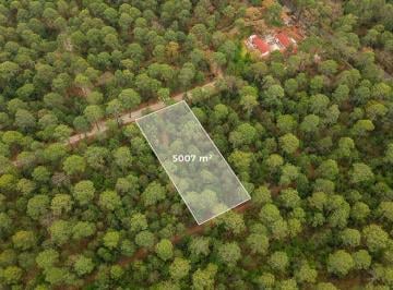 Terreno / Lote · 5007m² · Terreno en Venta Maderas Tapalpa