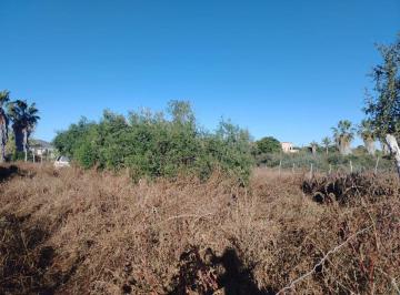 Terreno / Lote Venta MN 1,250,000 · Terreno Rustico en Venta Pescadero, Bcs