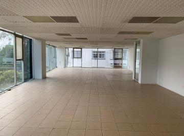 Oficina , Miguel Hidalgo · Oficinas en Renta en Anzures